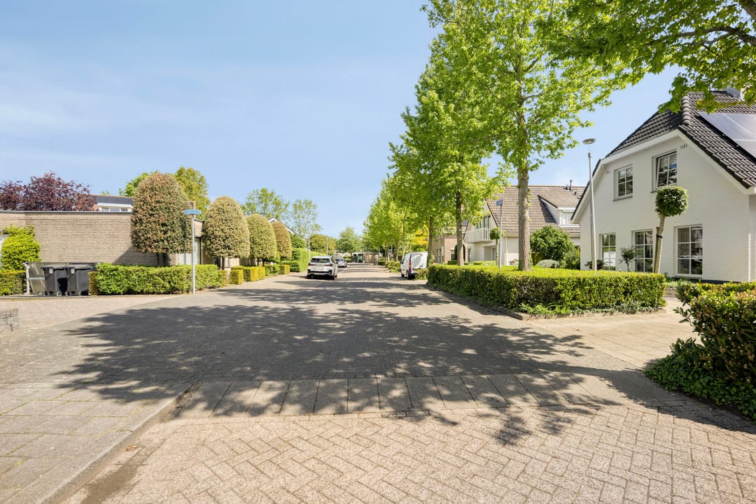 Photo 53 of Arend 5