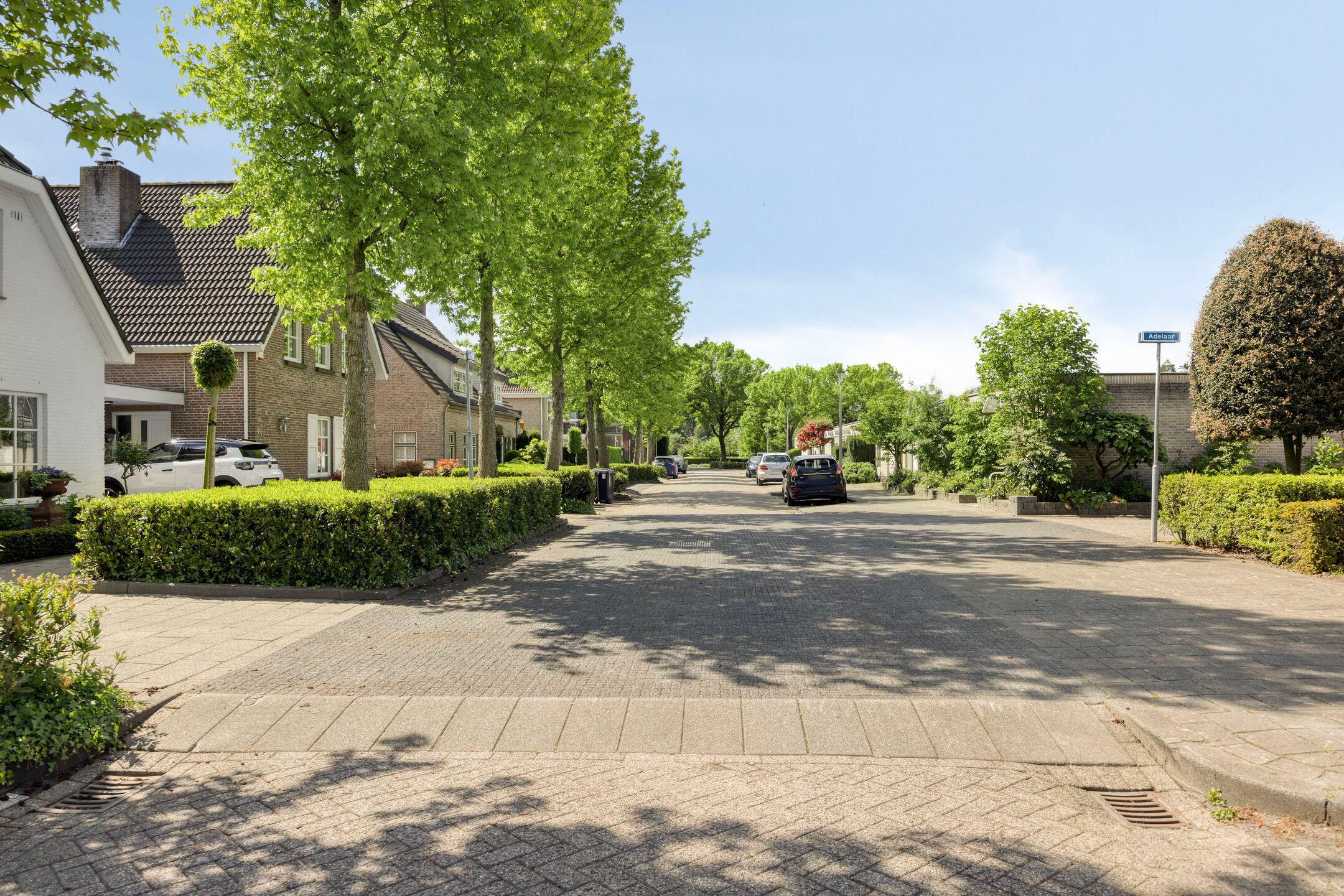 Photo 54 of Arend 5