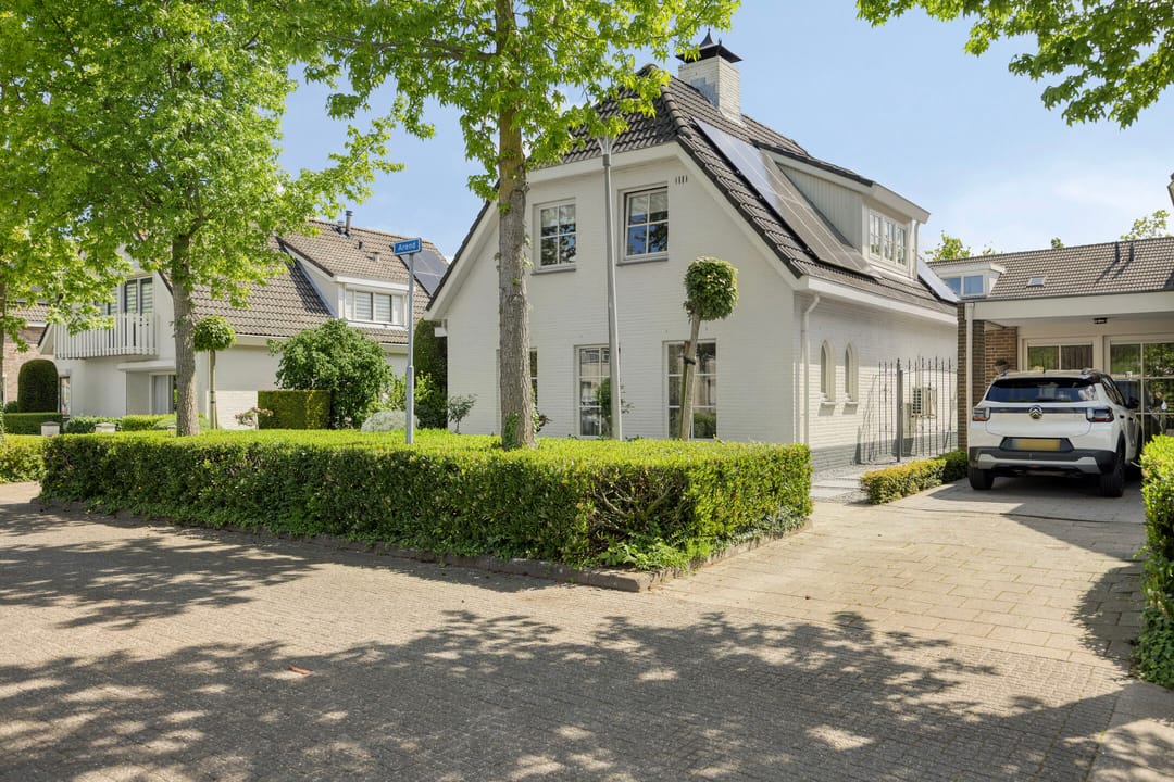 Photo 52 of Arend 5
