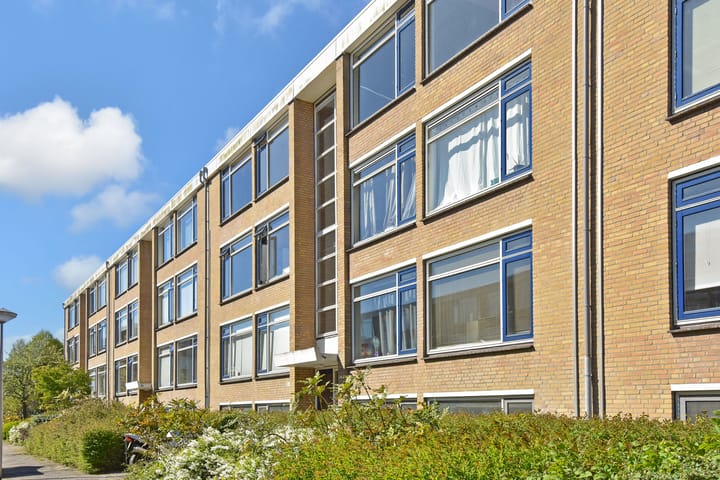 Foto 2 van Van der Haertstraat 33