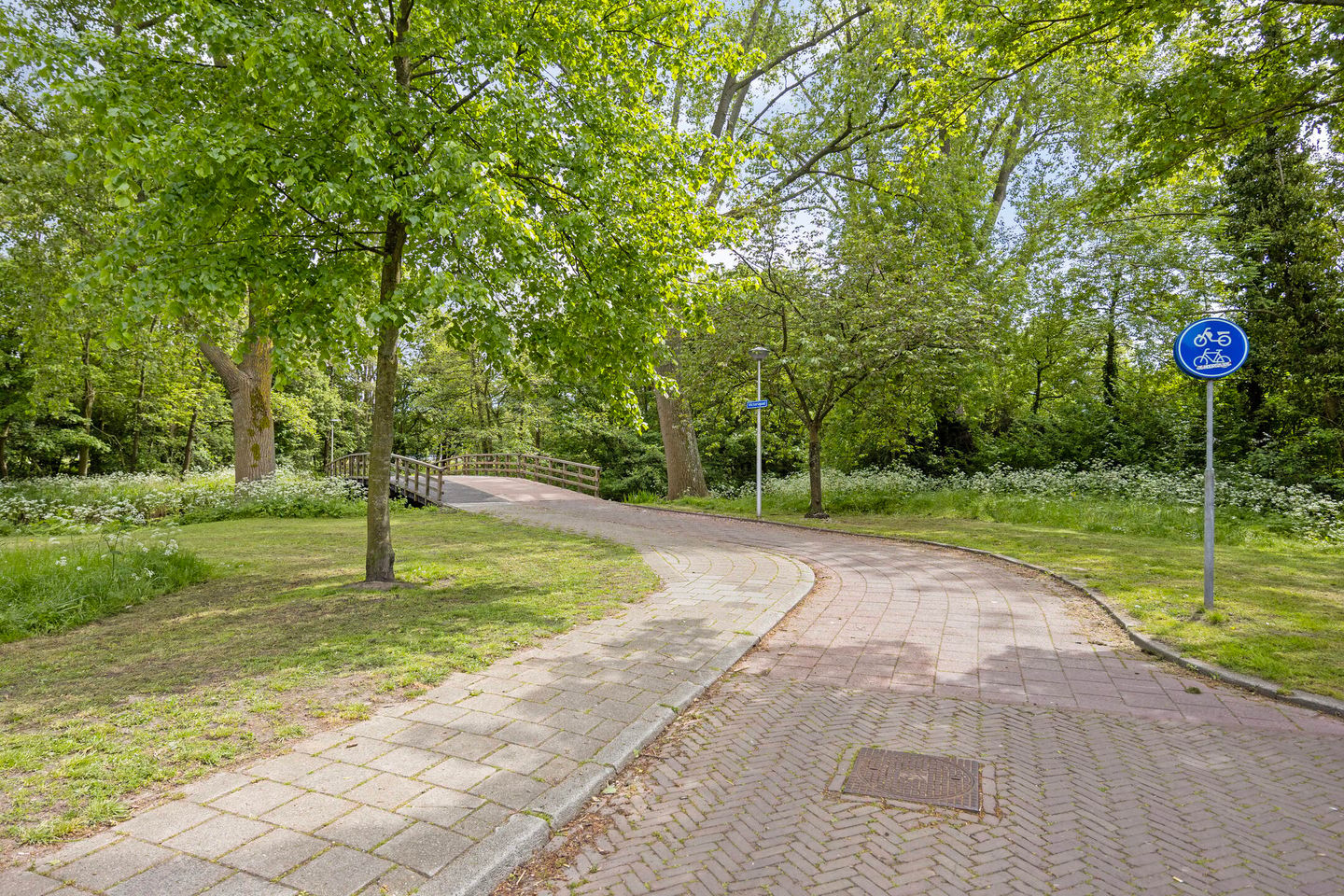 Foto 49 van Rooseveltlaan 2
