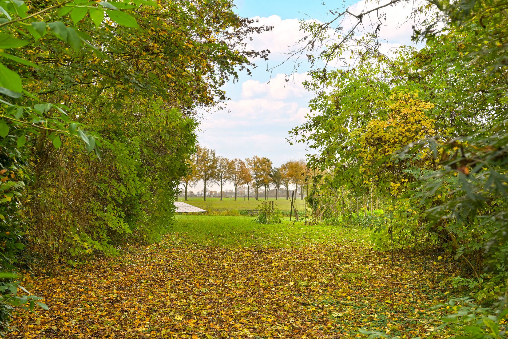 Photo 27 of Provincialeweg 69