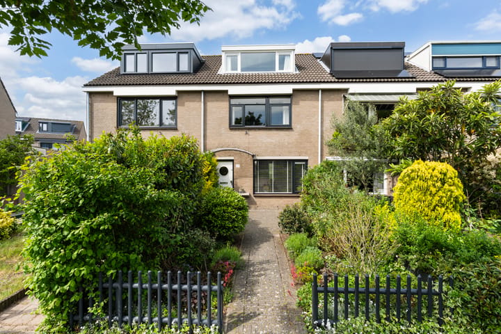 Suezpad 29