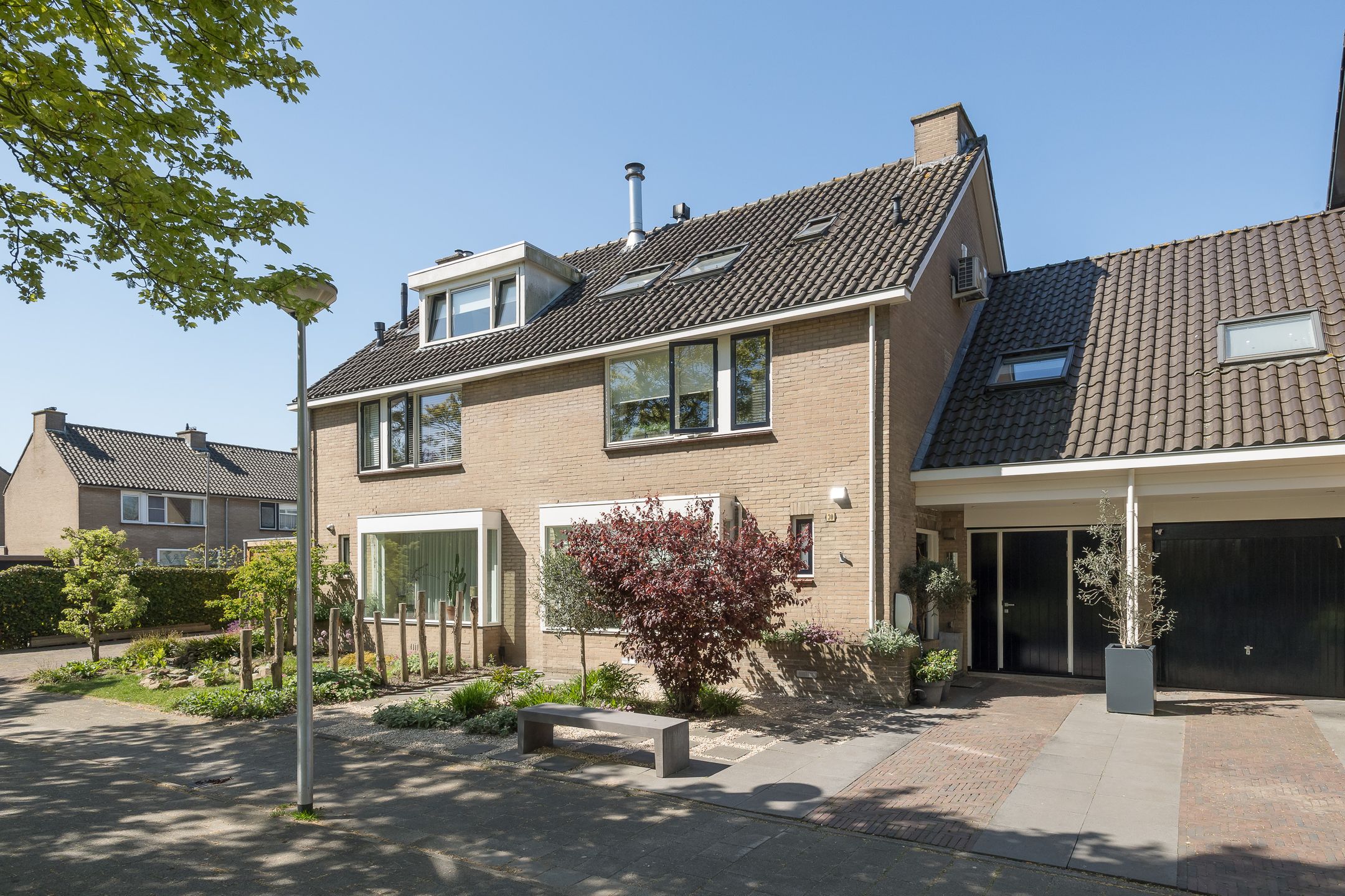 Pinksterbloem 30 