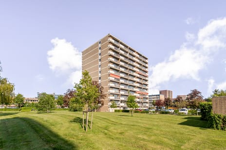 Aalscholversingel thumbnail