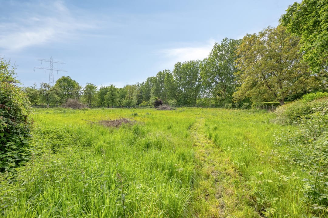 Photo 41 of Westbroek 41