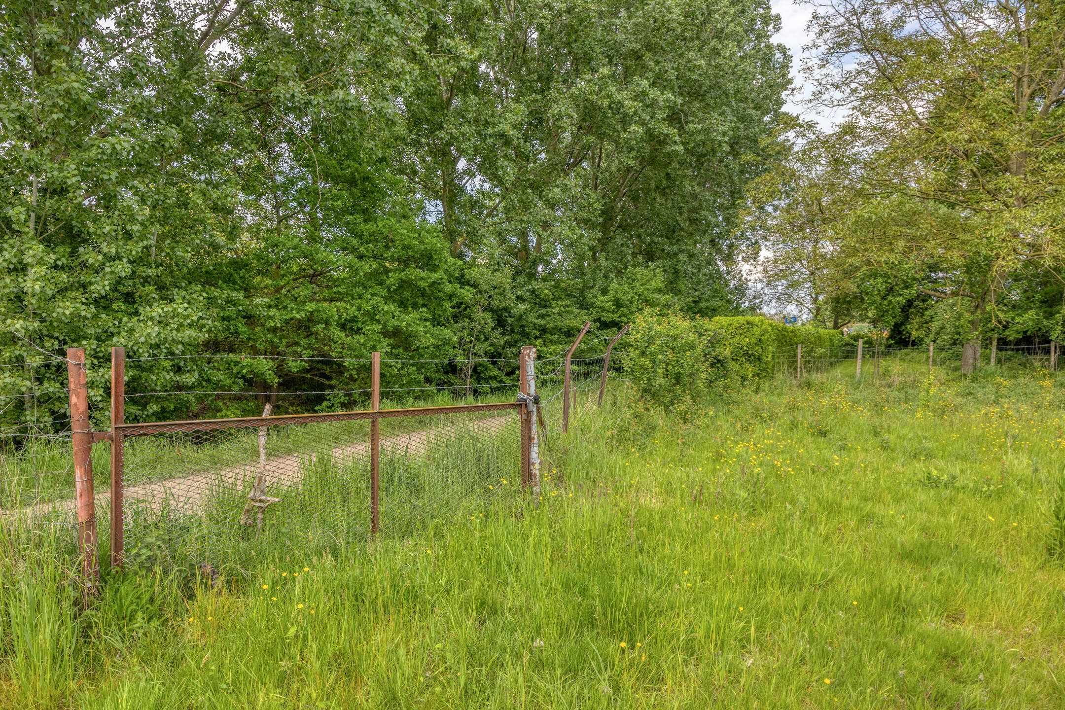 Photo 42 of Westbroek 41
