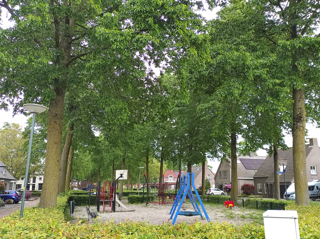 Photo 41 of Vogelwikke 21