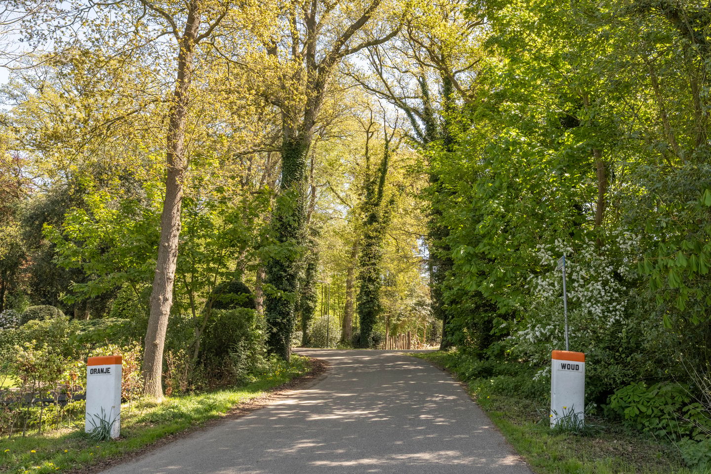 Foto 40 van Prins Bernhardweg 73
