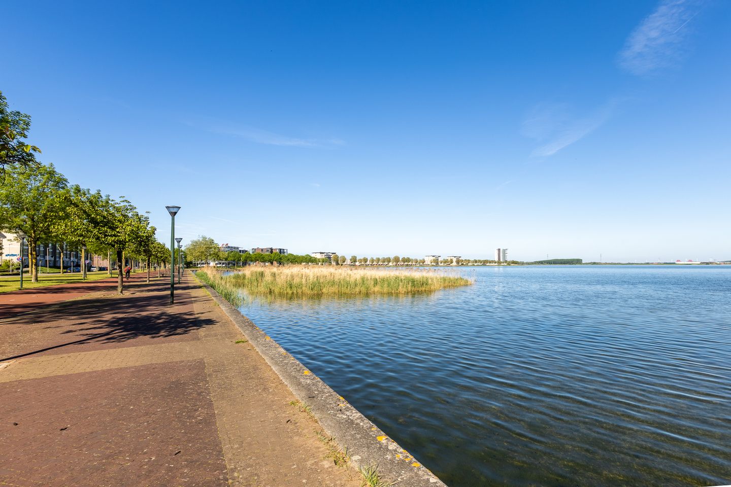Foto 44 van Ansjovislaan 13
