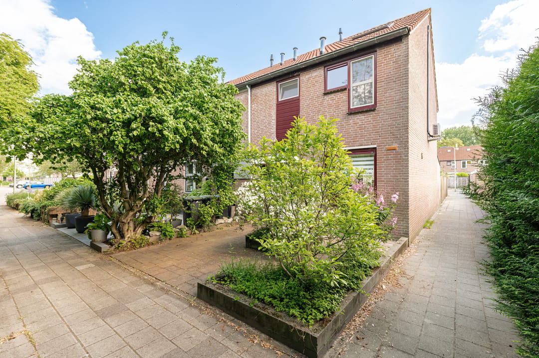 Foto 41 van Duizendblad 11