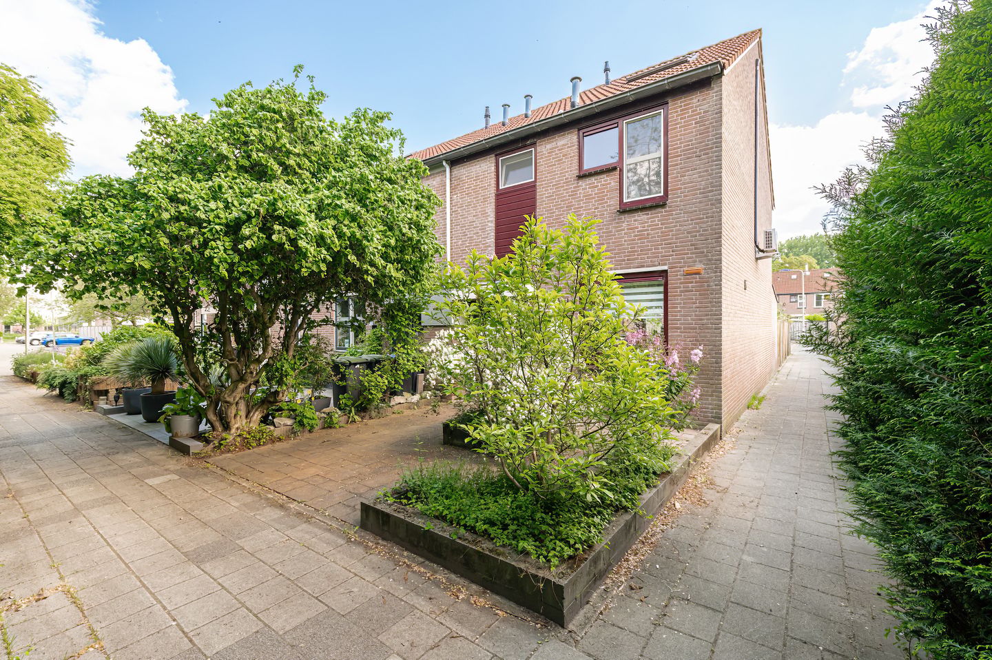 Foto 4 van Duizendblad 11