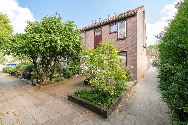 Foto 4 van Duizendblad 11