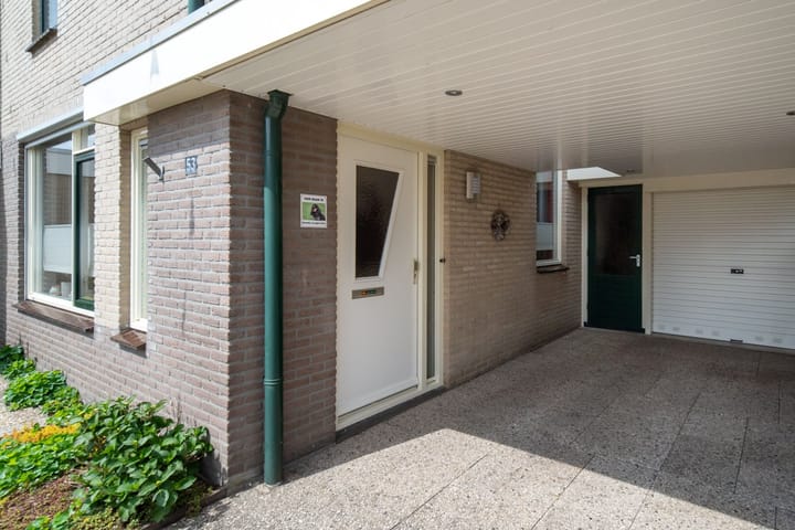 Foto 2 van Pijlkruid 53