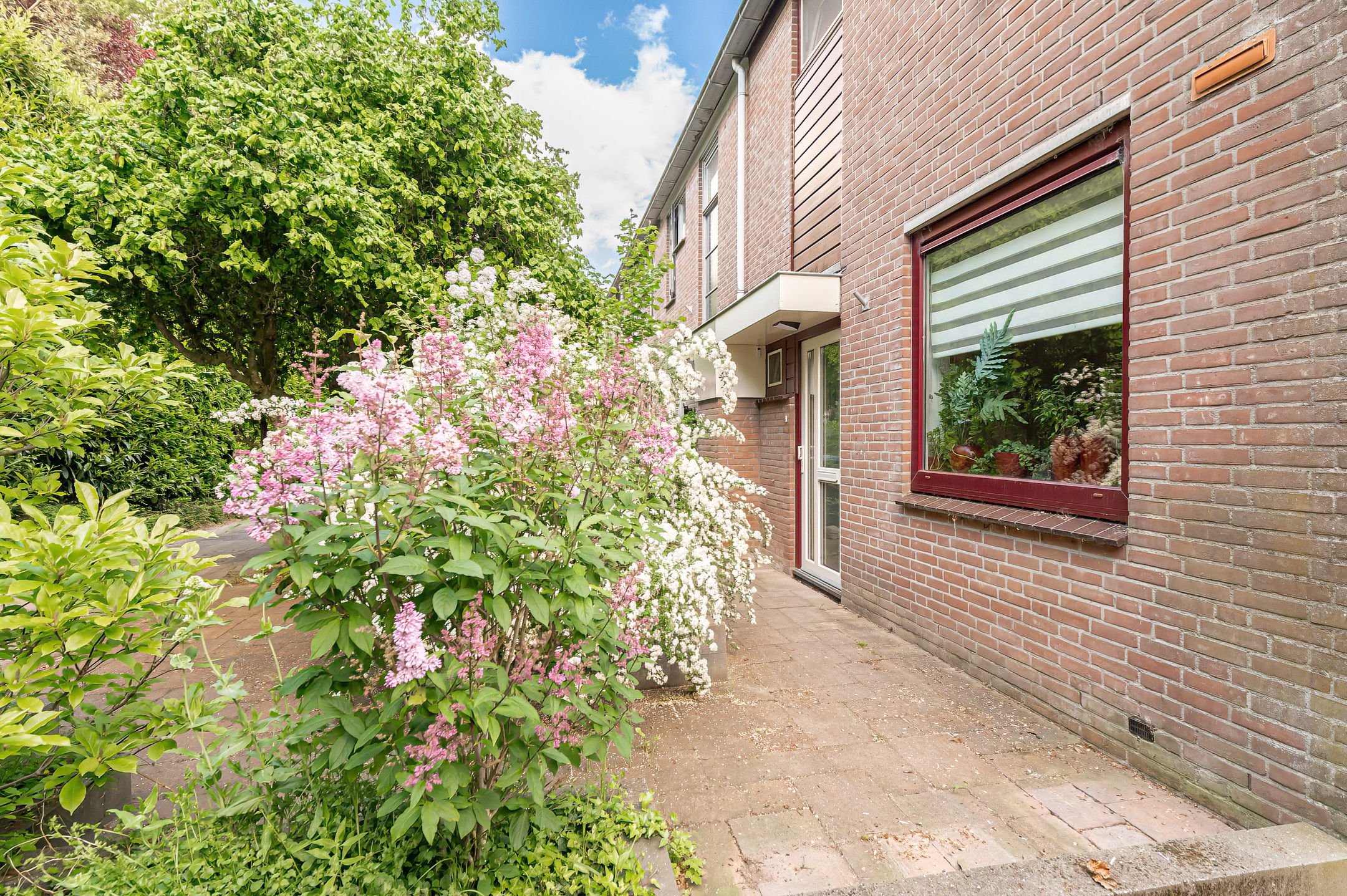 Foto 45 van Duizendblad 11