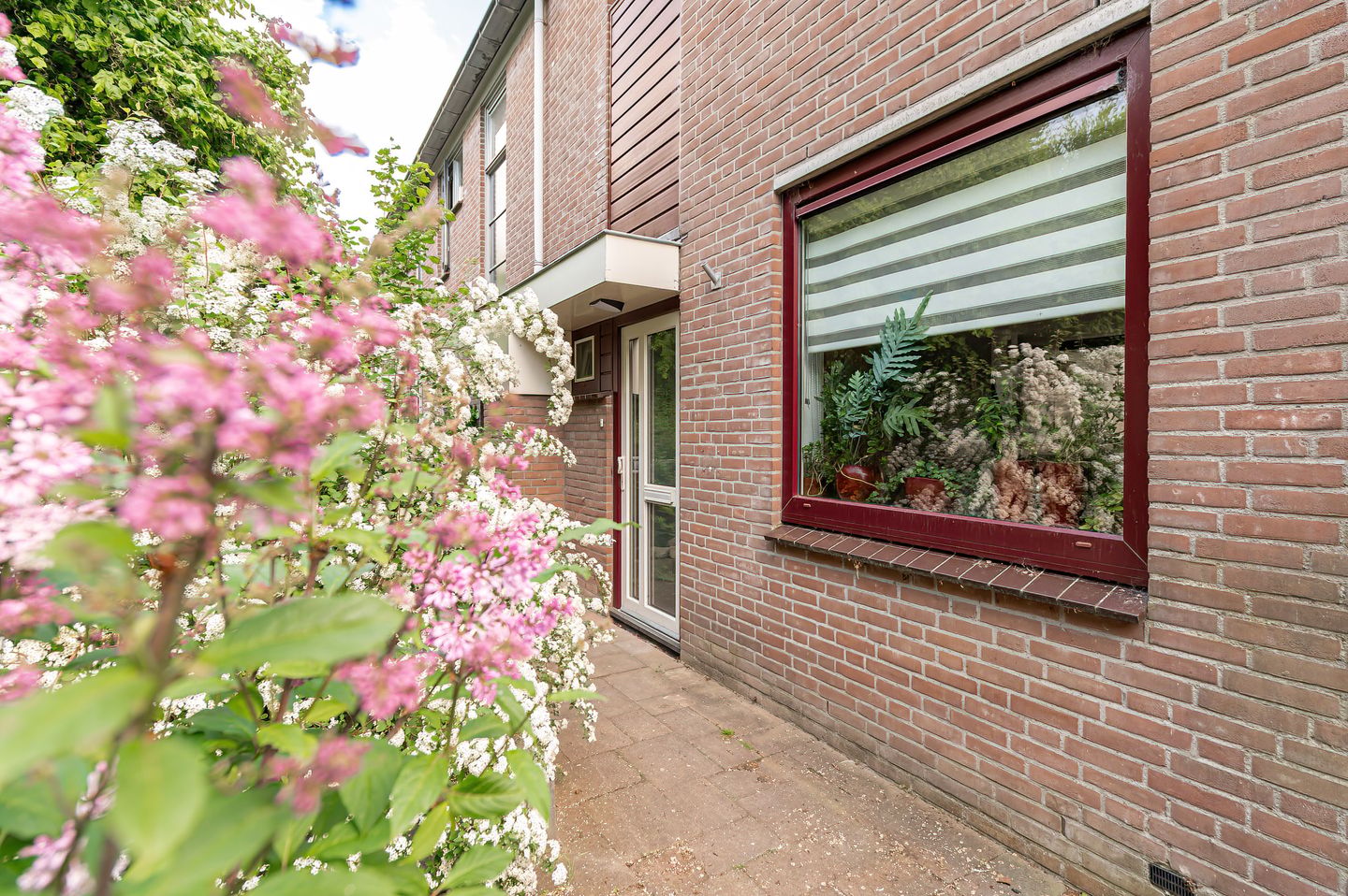 Foto 44 van Duizendblad 11