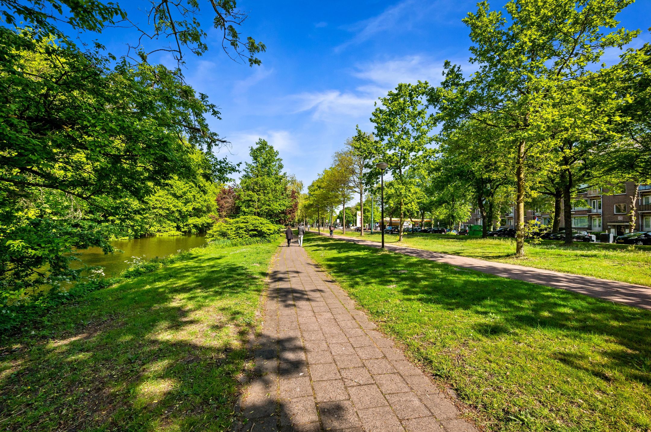 Photo 36 of Burgemeester Elsenlaan 23