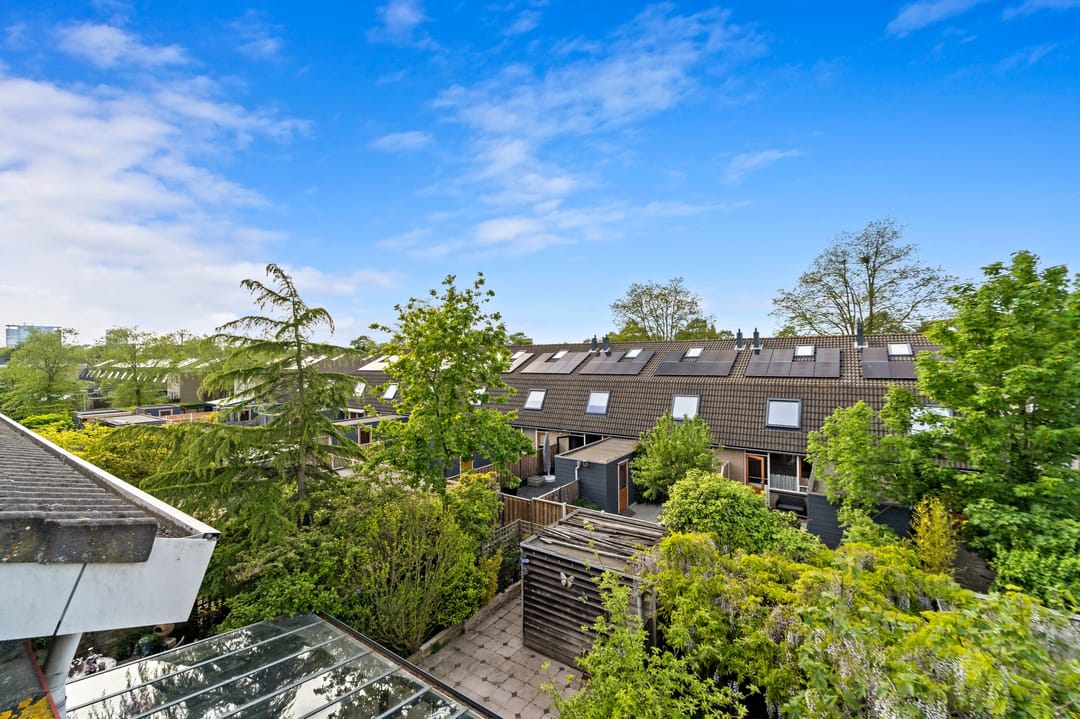 Foto 47 van Zaaierstraat 49