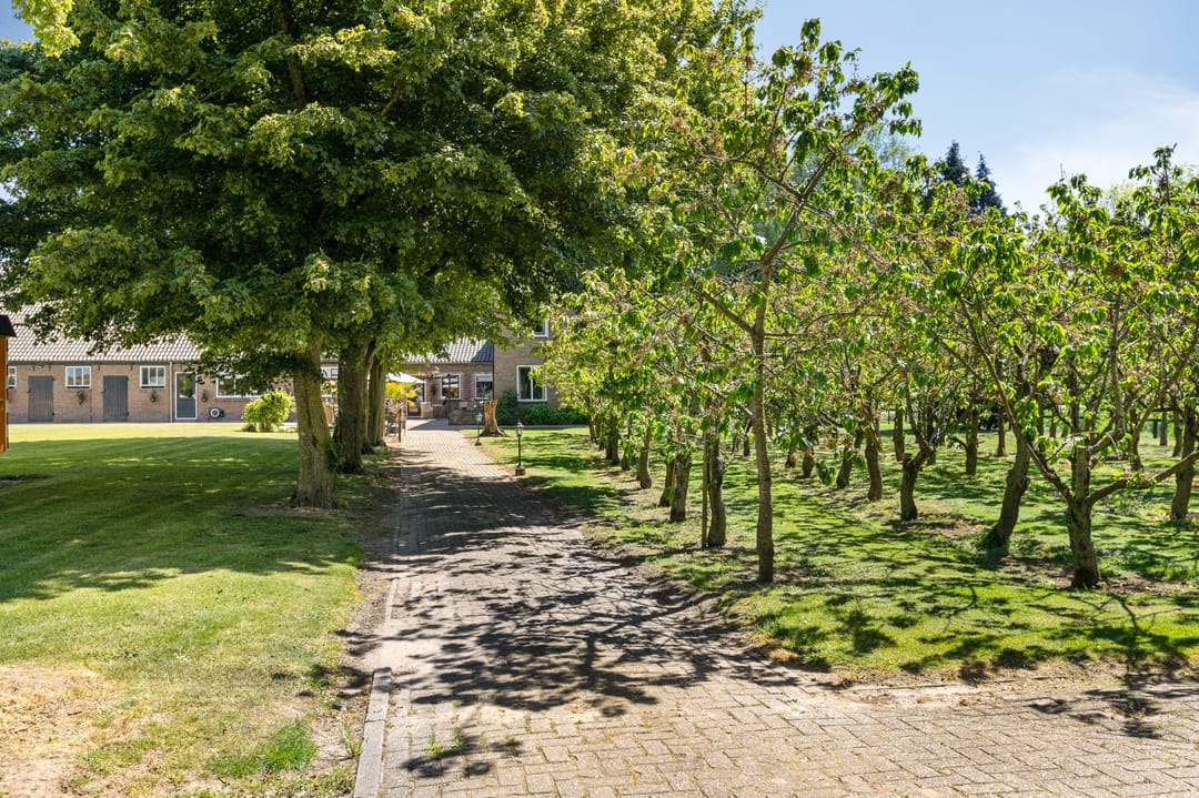 Photo 56 of Nieuwe Steeg 1