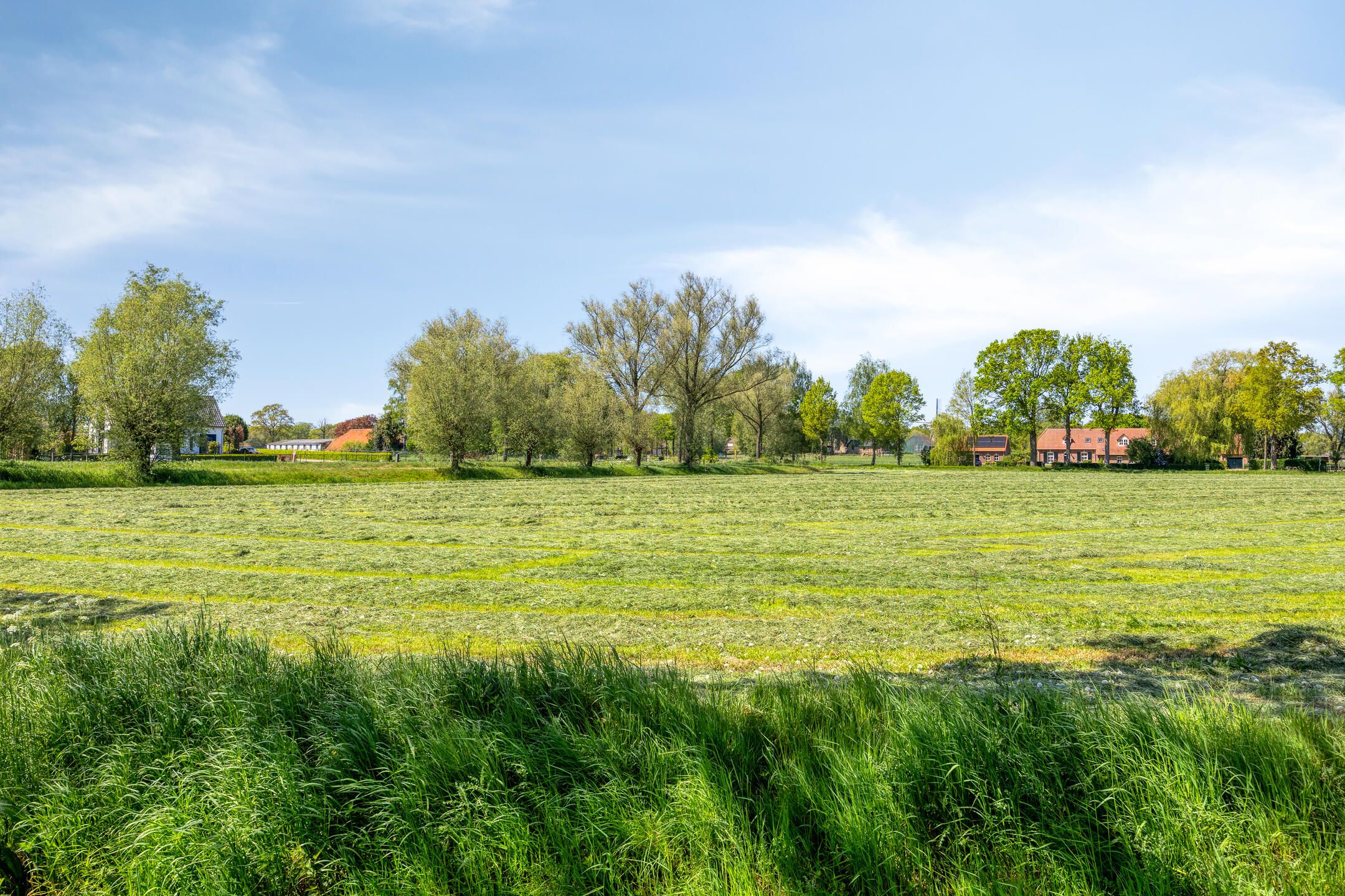 Detached Home with Extensive 3690 m² Plot in Rural Sint Hubert — 66