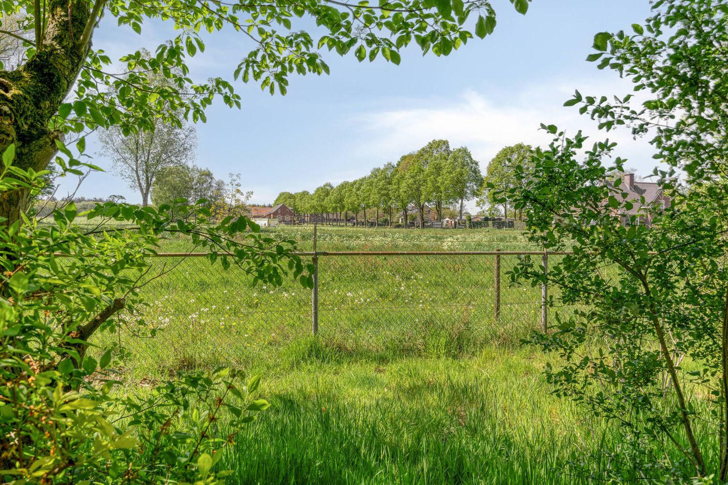 Detached Home with Extensive 3690 m² Plot in Rural Sint Hubert — 59