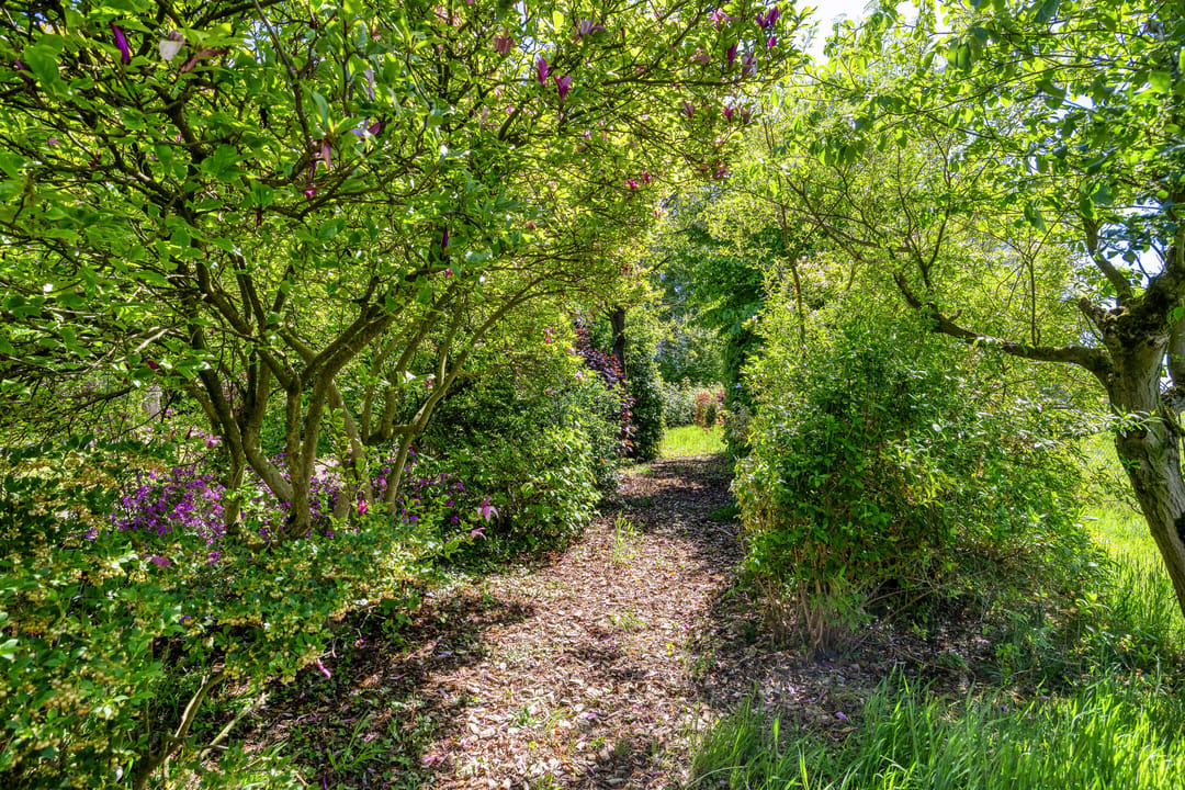 Detached Home with Extensive 3690 m² Plot in Rural Sint Hubert — 58
