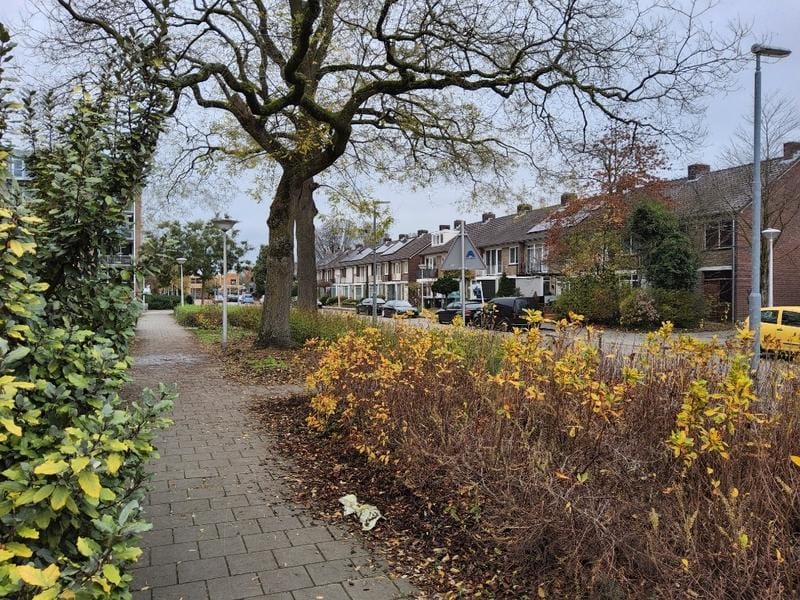 Foto 18 van Muzenlaan 101