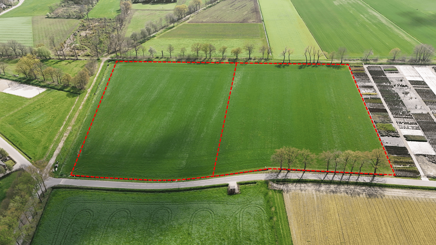 Hooghoutseweg - Biezenmortel - Afbeelding 7