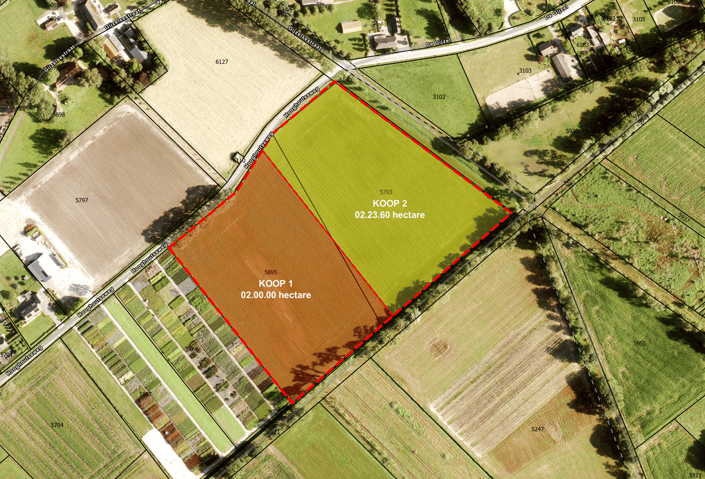 Bekijk foto 3 van Hooghoutseweg
