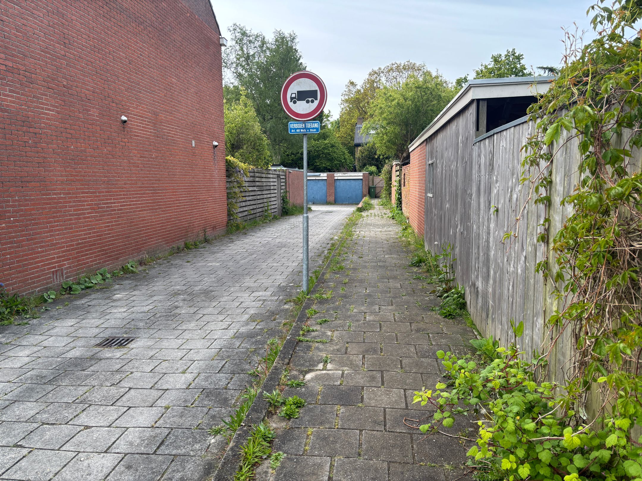 Foto 6 van Goeman Borgesiuslaan 90 bg