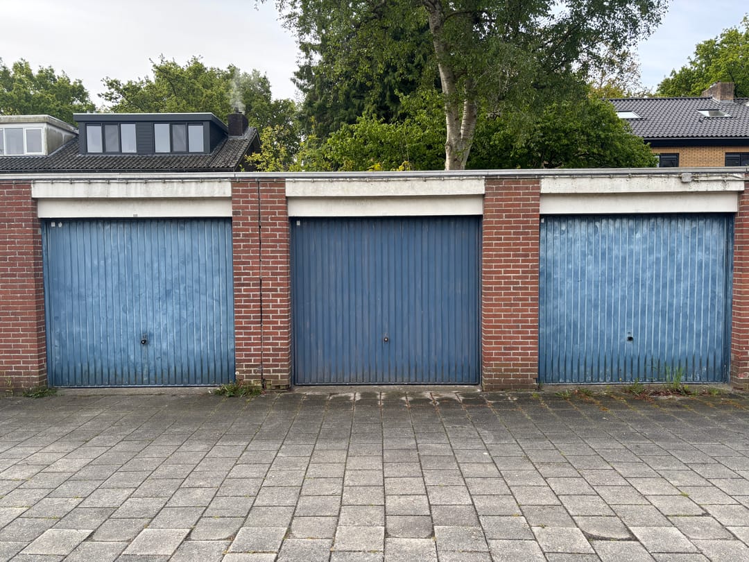 Foto 2 van Goeman Borgesiuslaan 90 bg