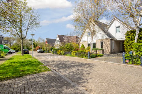 Ananasstraat thumbnail