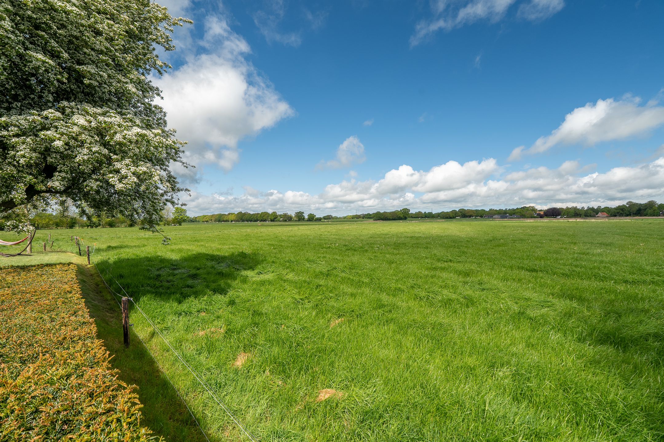 Spacious Farmhouse with Separate Guest Accommodation in Drenthe — 96