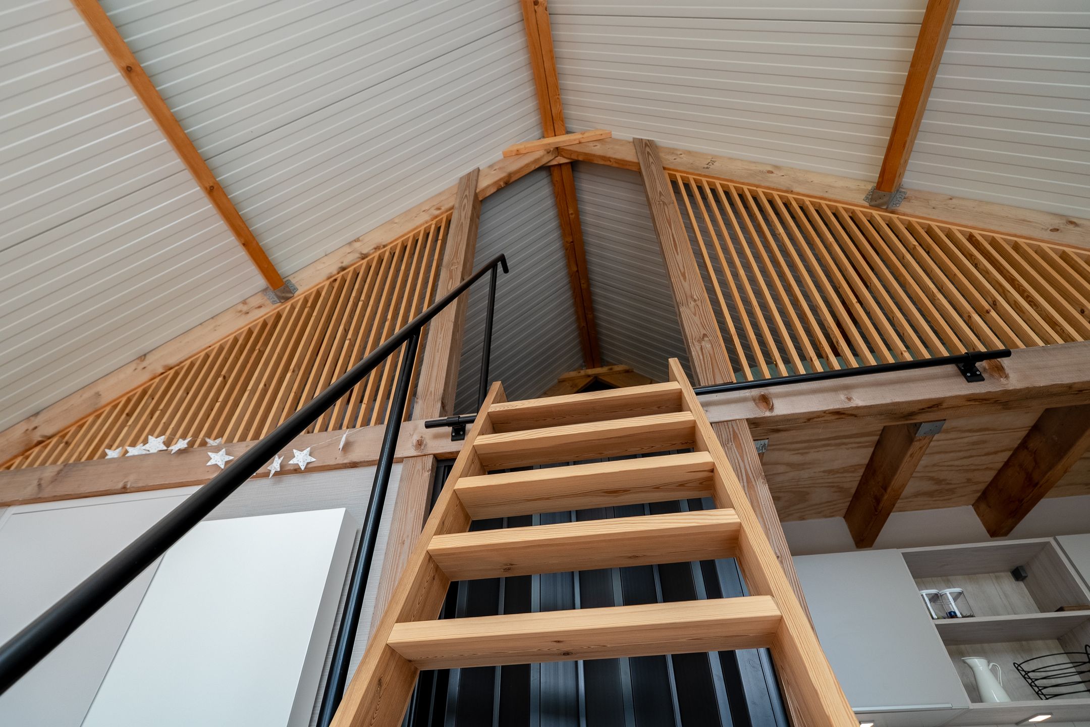 Spacious Farmhouse with Separate Guest Accommodation in Drenthe — 126