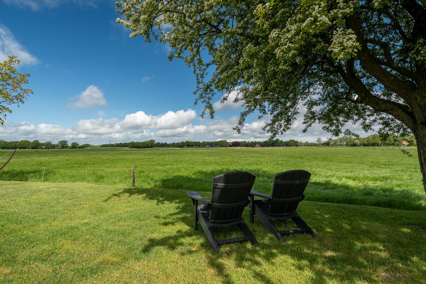 Spacious Farmhouse with Separate Guest Accommodation in Drenthe — 95