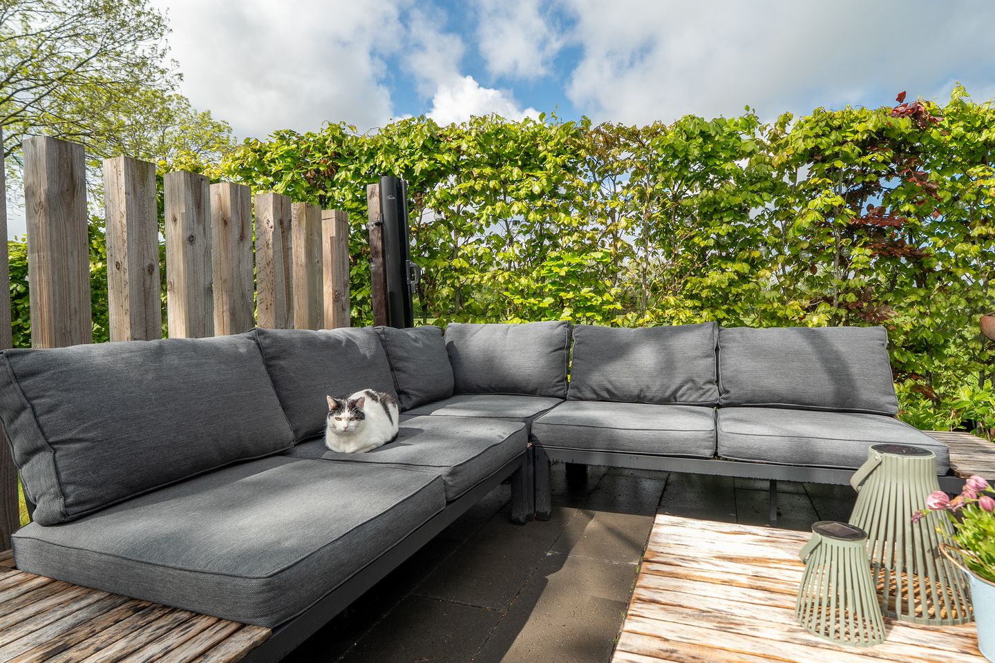 Spacious Farmhouse with Separate Guest Accommodation in Drenthe — 115