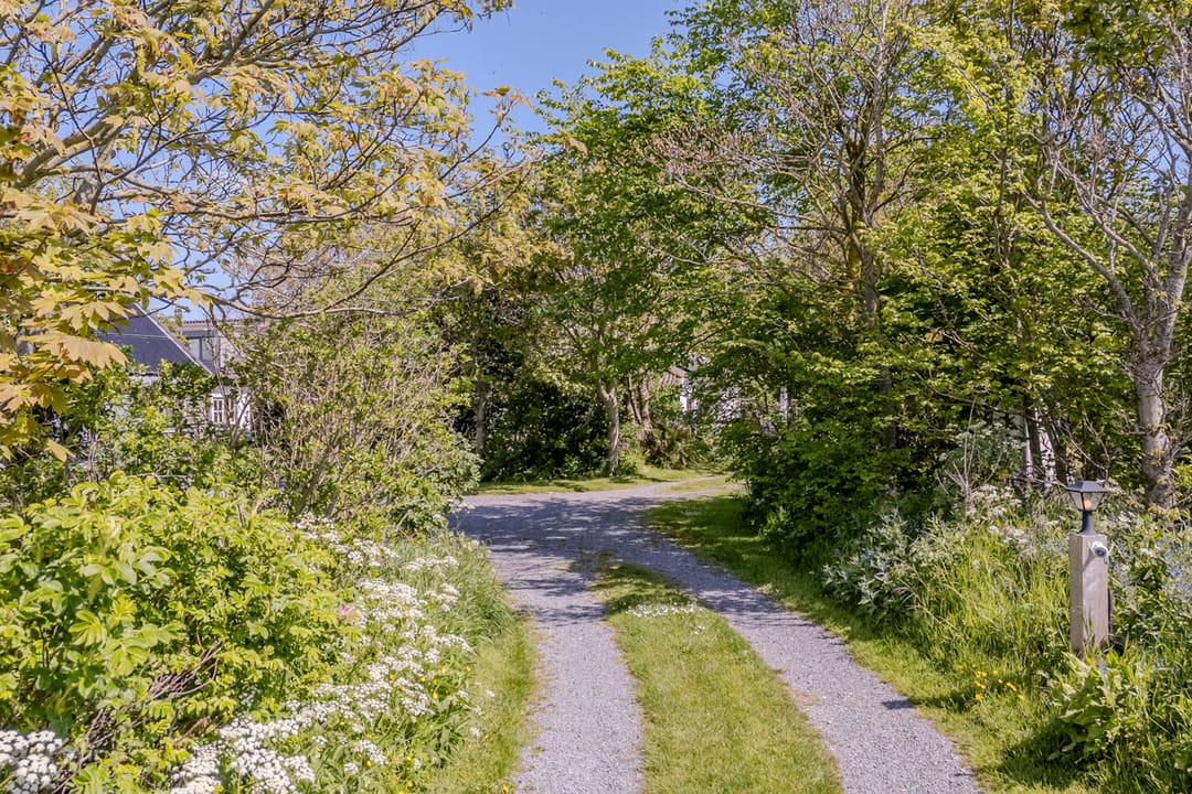 Photo 82 of Westerweg 47
