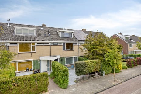 Paedtslaan thumbnail