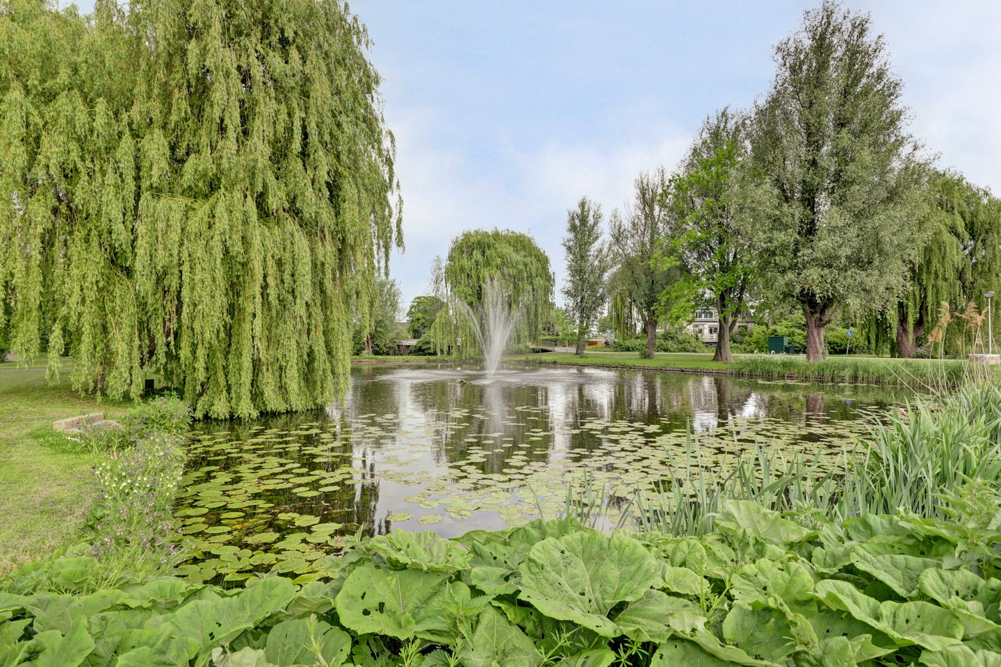 Photo 59 of van Naeldwijcklaan 67
