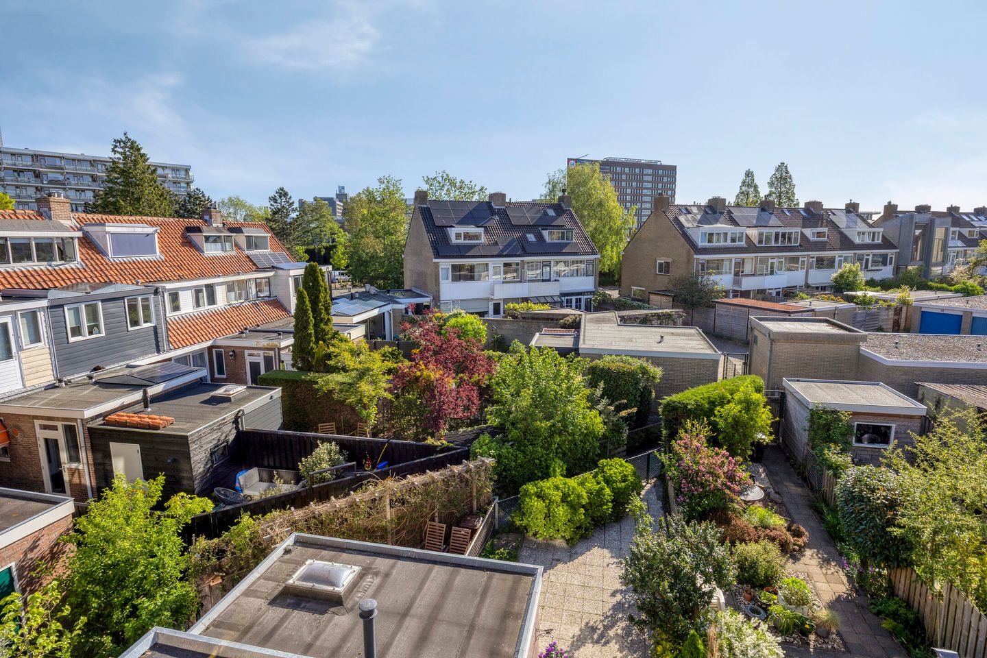 Foto 40 van Coornhertstraat 39