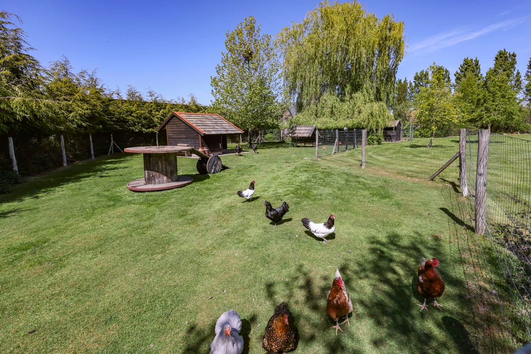 Spacious Country Farmhouse with Expansive Plot in Rural Haaren — 46