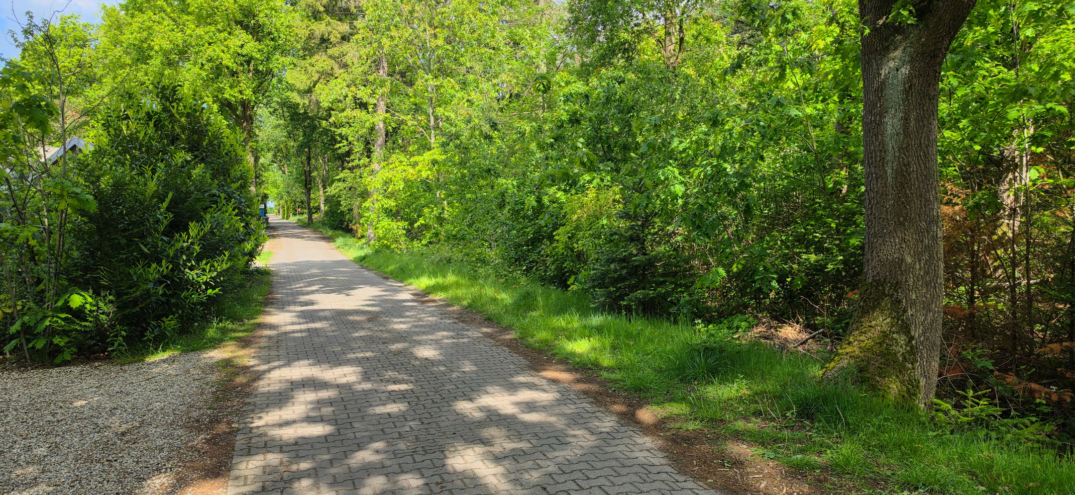 Foto 42 van De Stille Wille 224