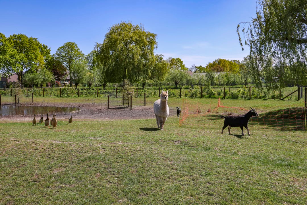 Spacious Country Farmhouse with Expansive Plot in Rural Haaren — 47