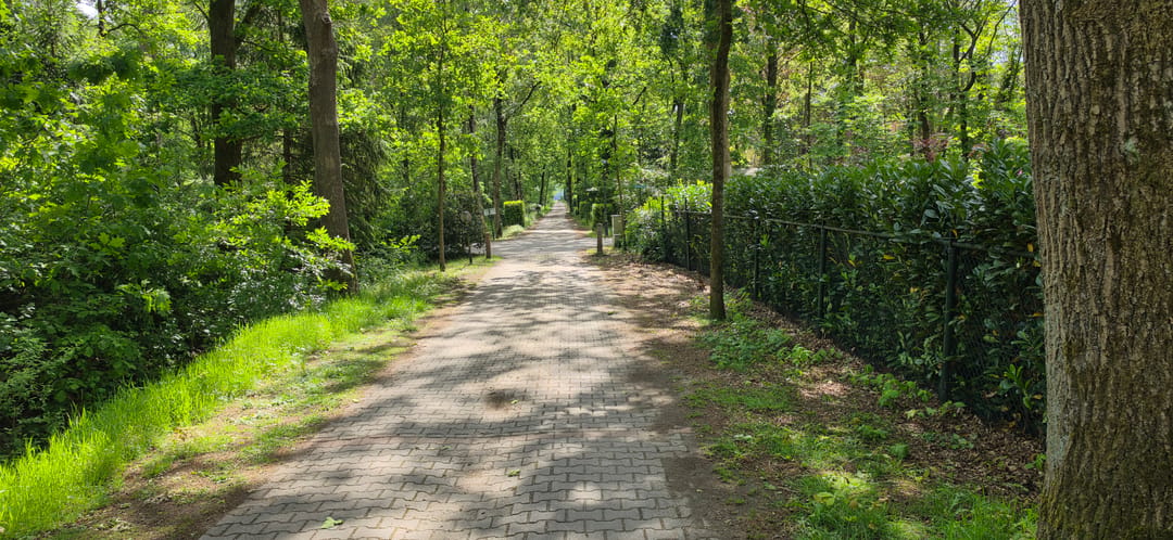 Foto 43 van De Stille Wille 224