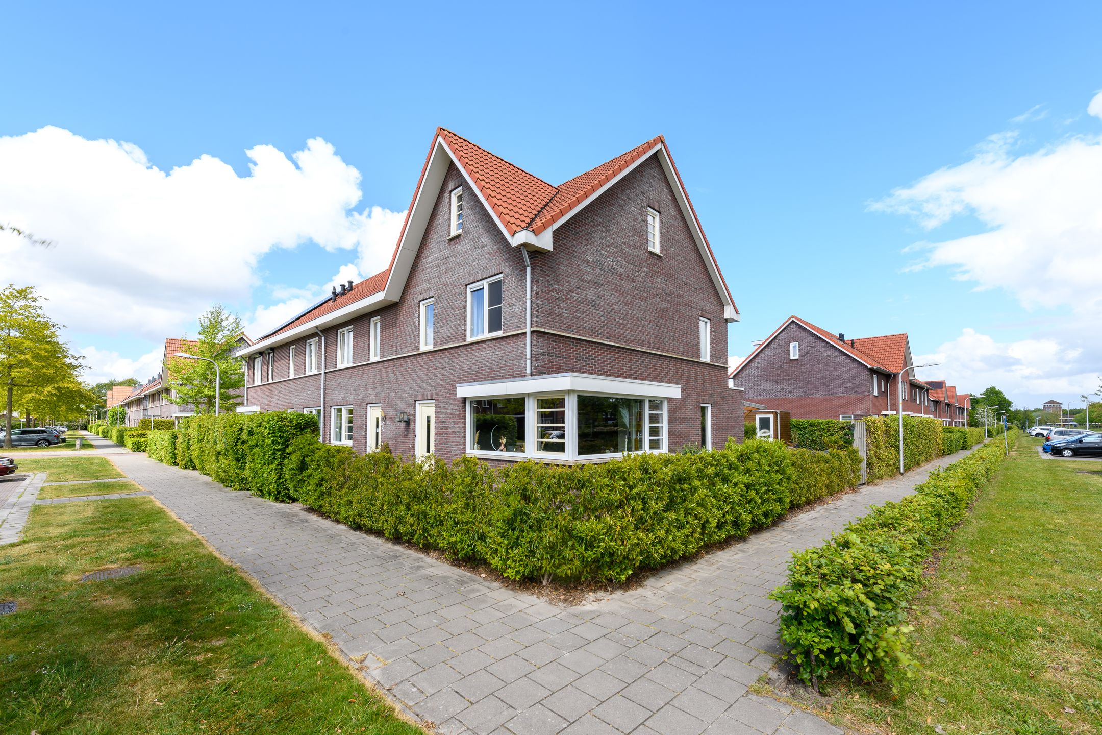 Foto 42 van Grote vuurvlinder 39