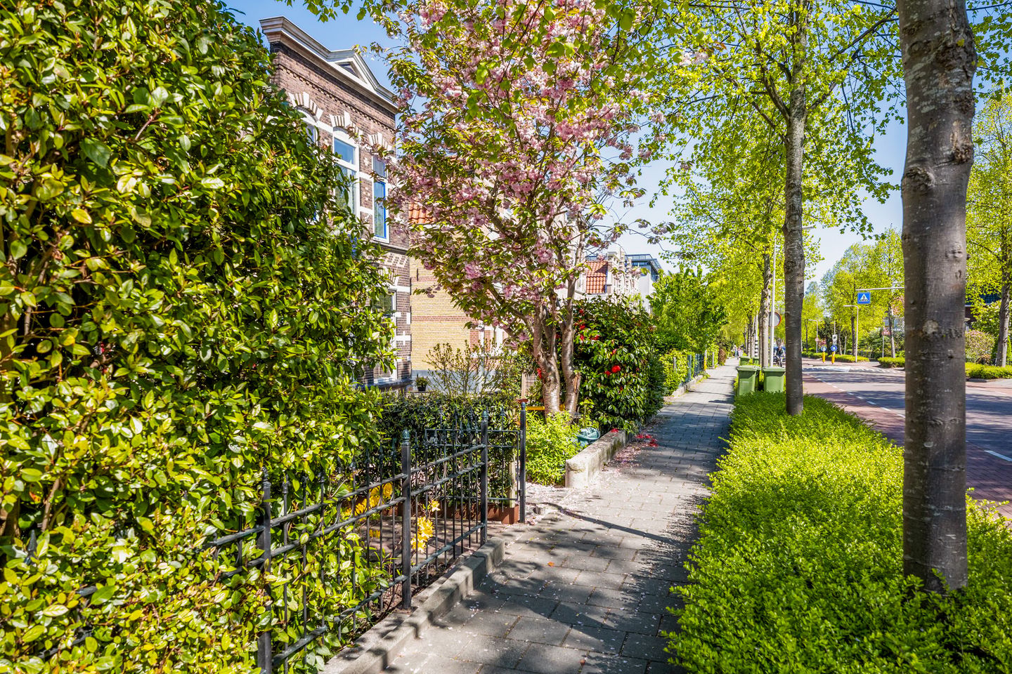 Foto 49 van Graaf Florisweg 47