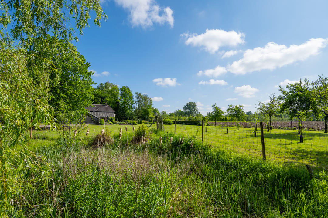 Photo 23 of Koningsweg 3