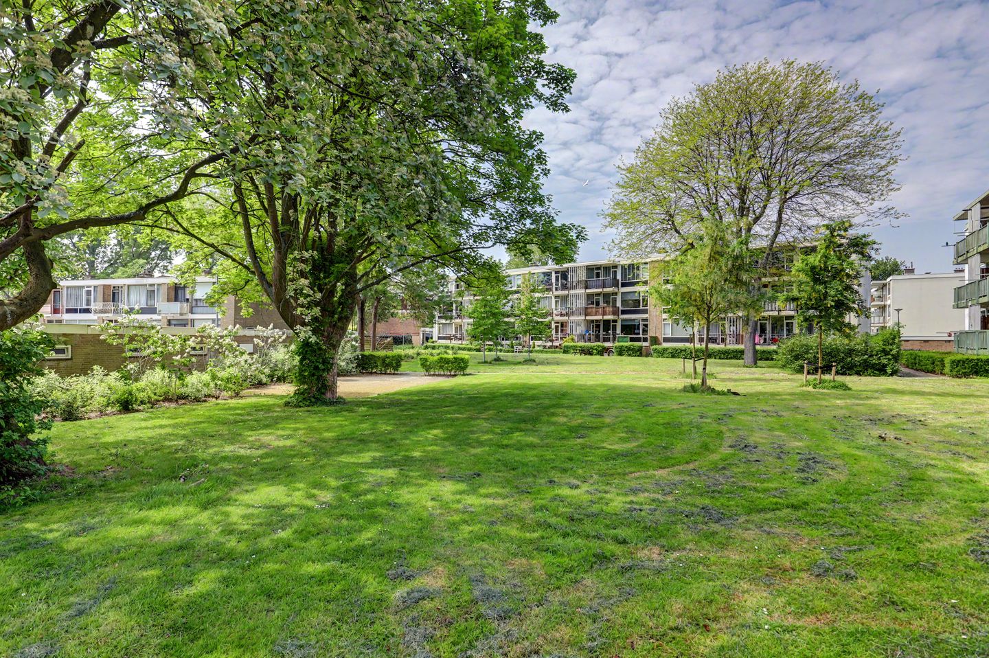 Photo 29 of Pieter Woutersestraat 30