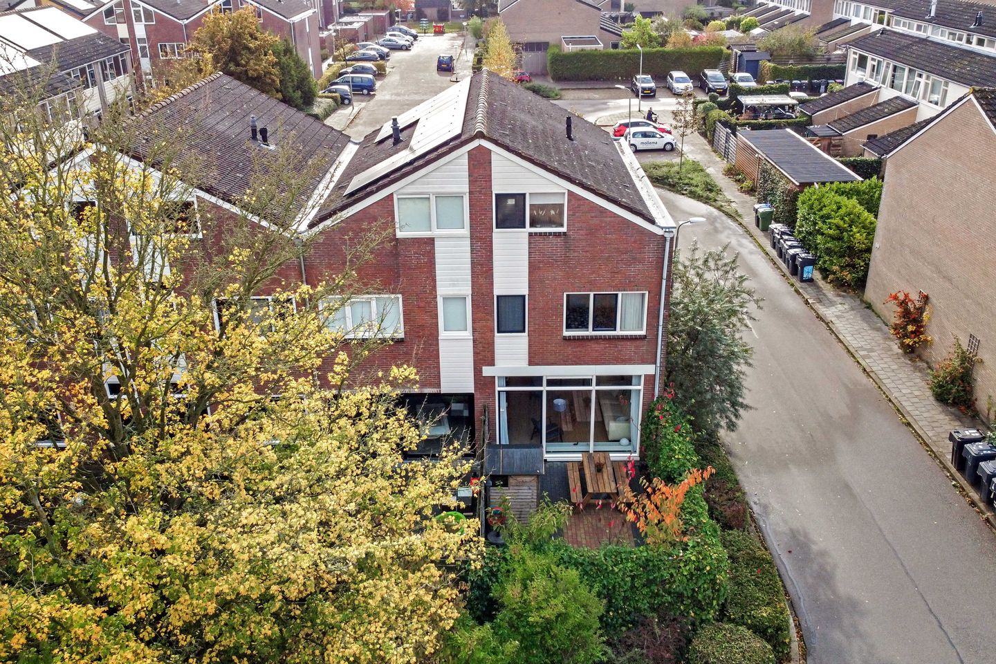 Foto 44 van Maagdepalm 144