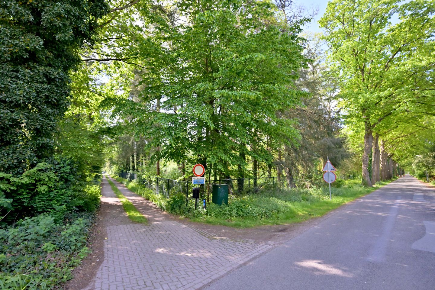 Foto 49 van Quatre Brasweg 1-B